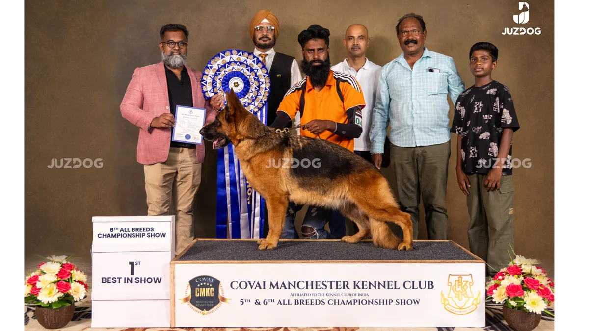best in show 6th